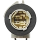 Purchase Top-Quality STANDARD - PRO SERIES - S586 - Back Up Light Socket pa3