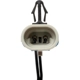 Purchase Top-Quality Backup Light Switch by BLUE STREAK (HYGRADE MOTOR) - LS216 pa3