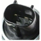 Purchase Top-Quality Backup Light Switch by BLUE STREAK (HYGRADE MOTOR) - LS336 pa8