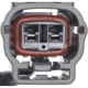 Purchase Top-Quality Interrupteur de lumière de feu de recul par BLUE STREAK (HYGRADE MOTOR) - NS528 pa5