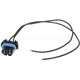 Purchase Top-Quality Backup Light Switch Connector by BLUE STREAK (HYGRADE MOTOR) - S524 pa2