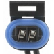 Purchase Top-Quality Backup Light Switch Connector by BLUE STREAK (HYGRADE MOTOR) - HP3840 pa26