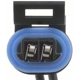 Purchase Top-Quality Backup Light Switch Connector by BLUE STREAK (HYGRADE MOTOR) - HP3840 pa29