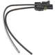 Purchase Top-Quality Connecteur d'interrupteur des feux de recul par BLUE STREAK (HYGRADE MOTOR) - HP4375 pa12