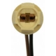 Purchase Top-Quality Connecteur d'interrupteur des feux de recul de BLUE STREAK (HYGRADE MOTOR) - S100 pa46