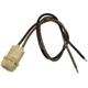 Purchase Top-Quality Backup Light Switch Connector by BLUE STREAK (HYGRADE MOTOR) - S100 pa48