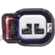 Purchase Top-Quality Backup Light Switch Connector by BLUE STREAK (HYGRADE MOTOR) - S1895 pa3