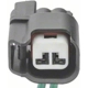 Purchase Top-Quality Backup Light Switch Connector by BLUE STREAK (HYGRADE MOTOR) - S2342 pa59