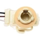 Purchase Top-Quality Backup Light Switch Connector by BLUE STREAK (HYGRADE MOTOR) - S507 pa29