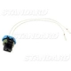 Purchase Top-Quality Backup Light Switch Connector by BLUE STREAK (HYGRADE MOTOR) - S689 pa4