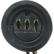 Purchase Top-Quality Backup Light Switch Connector by BLUE STREAK (HYGRADE MOTOR) - S747 pa4