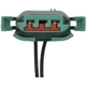 Purchase Top-Quality BWD AUTOMOTIVE - PT340 - License Lamp Connector pa3