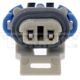 Purchase Top-Quality Backup Light Switch Connector by DORMAN/TECHOICE - 645-589 pa7