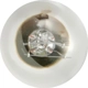 Purchase Top-Quality Backup Light by SYLVANIA - 2057.TP pa11