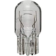 Purchase Top-Quality Backup Light (Pack of 10) by WAGNER - 7443 pa1