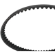 Purchase Top-Quality SKP - SKT168 - Timing Belt pa3