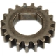 Purchase Top-Quality CLOYES GEAR INC - S1101 - Engine Balance Shaft Sprocket pa1