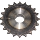 Purchase Top-Quality Balance Shaft Gear by CLOYES GEAR INC - S1110 pa1