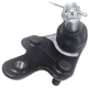 Purchase Top-Quality SUSPENSIA CHASSIS - X50BJ4053 - Front Right Suspension Ball Joint pa1