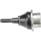 Purchase Top-Quality Ball Joint by URO - C2P2545BJ pa1