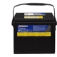 Purchase Top-Quality Battery by ACDELCO - 75VPG pa1
