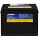 Purchase Top-Quality Battery by ACDELCO PROFESSIONAL - 78VPG pa9