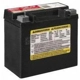 Purchase Top-Quality Battery by ACDELCO PROFESSIONAL - AUX12 pa1