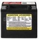 Purchase Top-Quality La batterie par ACDELCO PROFESSIONAL - AUX12 pa5