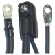 Purchase Top-Quality Câble de batterie négatif de BLUE STREAK (HYGRADE MOTOR) - A37-0HD pa1