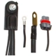 Purchase Top-Quality Battery Cable Negative by BLUE STREAK (HYGRADE MOTOR) - A53-2DDC pa1