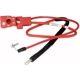 Purchase Top-Quality Battery Cable Positive by ACDELCO - 25850288 pa1