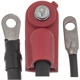 Purchase Top-Quality BLUE STREAK (HYGRADE MOTOR) - A245-0HD - Battery Cable pa2