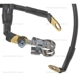 Purchase Top-Quality Battery Cable Positive by BLUE STREAK (HYGRADE MOTOR) - A38-4TLA pa3