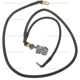 Purchase Top-Quality Battery Cable Positive by BLUE STREAK (HYGRADE MOTOR) - A38-4TLA pa4