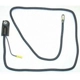 Purchase Top-Quality BLUE STREAK (HYGRADE MOTOR) - A65-4D - Battery Cable Positive pa9