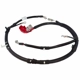 Purchase Top-Quality Battery Cable Positive by MOTORCRAFT - WC95954 pa1