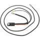 Purchase Top-Quality Battery To Junction Cable by BLUE STREAK (HYGRADE MOTOR) - A16-2DDF pa2