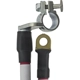 Purchase Top-Quality STANDARD - PRO SERIES - A4-2FD - Battery Cable pa1