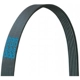 Purchase Top-Quality Belt by DAYCO - E060393 pa3