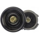 Purchase Top-Quality Belt Tensioner Assembly by DORMAN/TECHOICE - 419-300 pa1