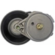 Purchase Top-Quality Belt Tensioner Assembly by DORMAN/TECHOICE - 419-300 pa2