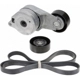 Purchase Top-Quality INA - 529-3020-100 - Accessory Drive Belt Tensioner Kit pa2