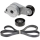 Purchase Top-Quality INA - FB30201K - Accessory Drive Belt Tensioner Kit pa2