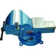 Purchase Top-Quality RODAC - RDBV8S - Bench Vise With Swivel Base pa1