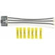 Purchase Top-Quality Blower Motor Connector by ACDELCO PROFESSIONAL - PT2485 pa3