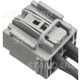 Purchase Top-Quality Blower Motor Connector by BLUE STREAK (HYGRADE MOTOR) - S2427 pa1