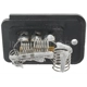 Purchase Top-Quality Blower Motor Resistor by BLUE STREAK (HYGRADE MOTOR) - RU300 pa2