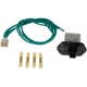 Purchase Top-Quality Blower Motor Resistor by DORMAN (OE SOLUTIONS) - 973-549 pa1