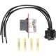 Purchase Top-Quality Blower Motor Resistor by HOLSTEIN - 2BMR0294K pa5