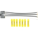 Purchase Top-Quality Blower Resistor Connector by ACDELCO - PT2485 pa1
